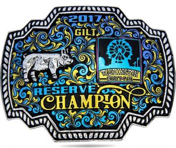 Buckle B035