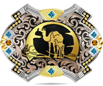 HN138
