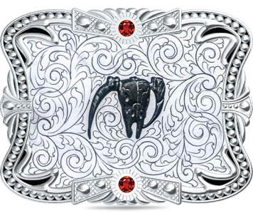 HN255