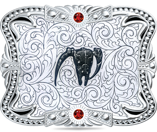 HN255
